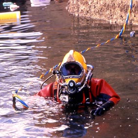 Dirty Harry in Contaminated Water - product image.jpg