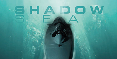 Shadow Seal Brochure