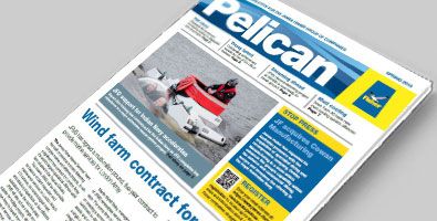 Pelican-thumbnail-literature-view-Spring-2018-395x200.jpg