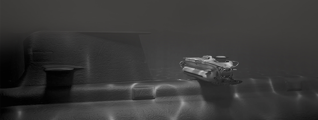 Rescue Seat Certification icon