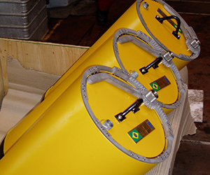 ELSS Pod Posting Bags icon