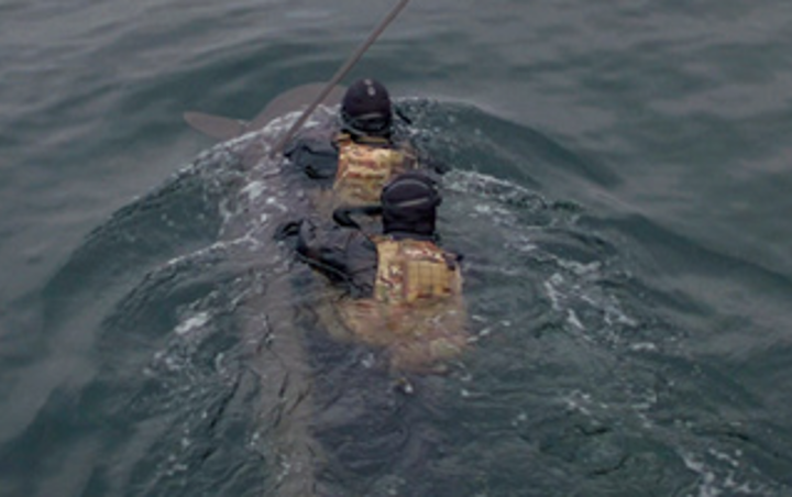 Torpedo Seal MK3 TDV icon