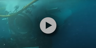 India Sea Trials icon